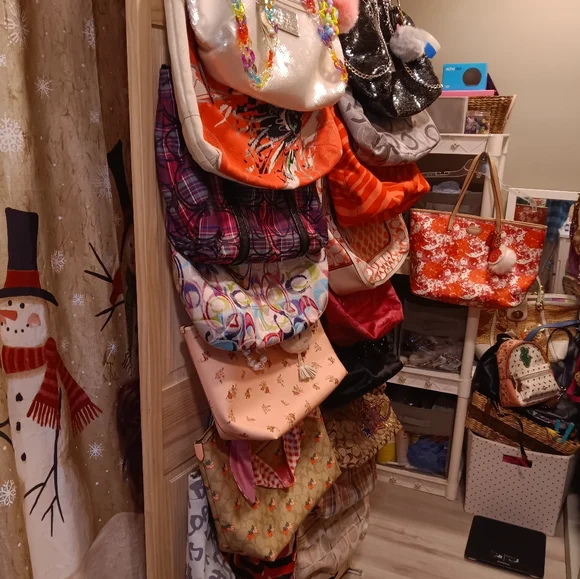 Coach Devin Signature Zebra Stripe Tote Bag F24022 - Picture 12 of 13